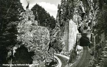 AK Hirschsprung im Höllental mit Eisenbahntunnel