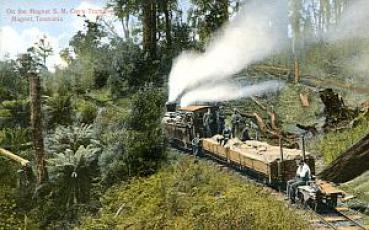 AK Coy's Tramway Tasmania Magnet, Feldbahn