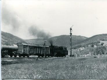 Baureihe 95 mit Güterzug Einfahrsignal