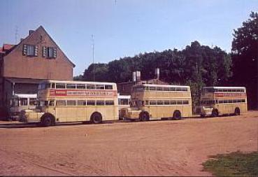 Autobusse BVG Berlin Werbellinsee