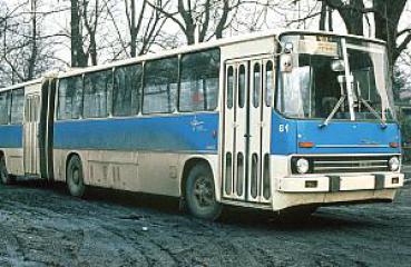 Autobus Potsdam Wagen 61